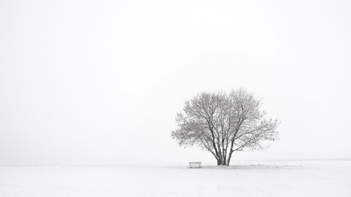 minimalismo consciente